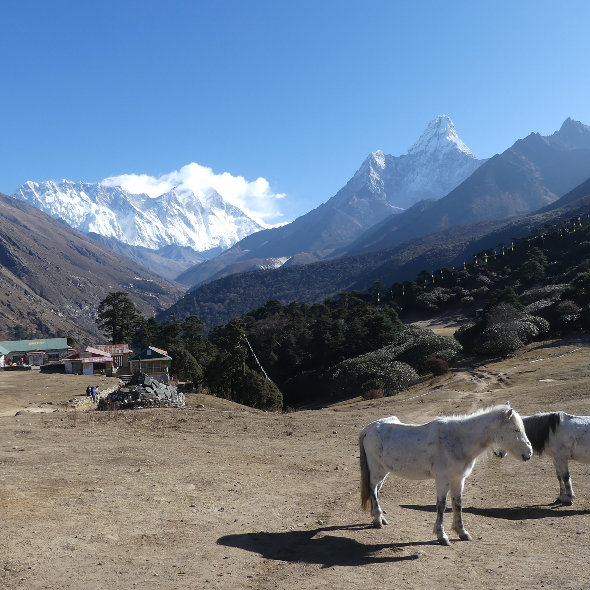 everest01